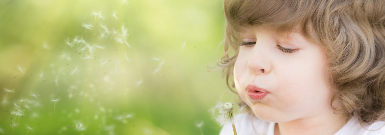 Аллергия на одуванчики у ребенка