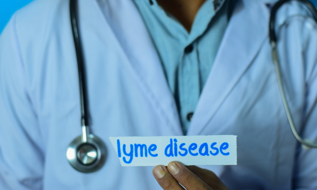 doctor holding card with text lyme disease