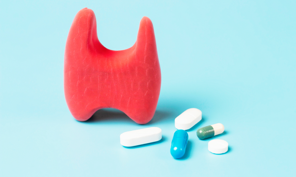 Thyroid model and pills on a blue background front view, copy space