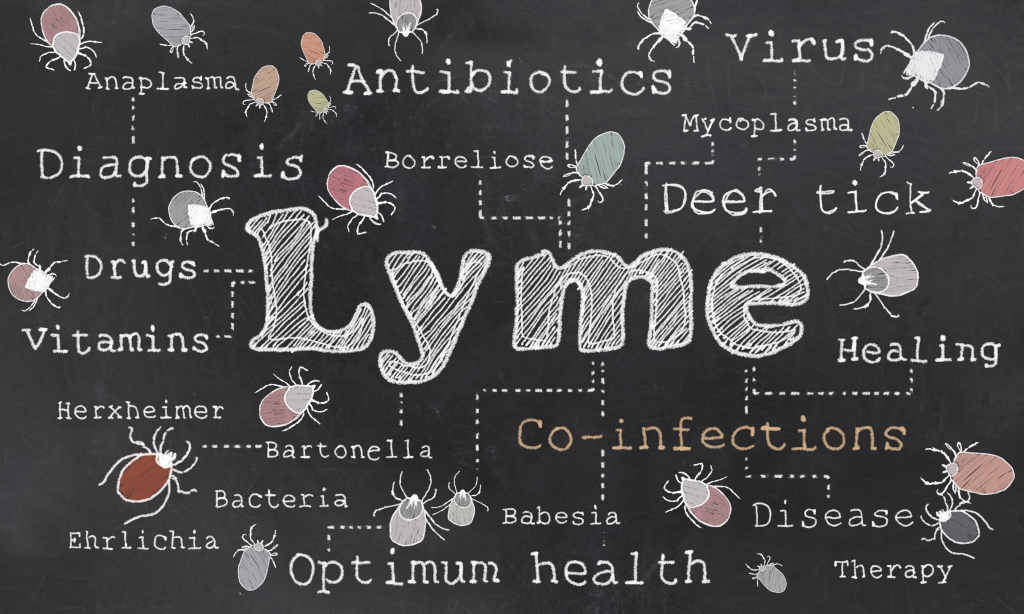 lyme and co infections listed on a blackboard