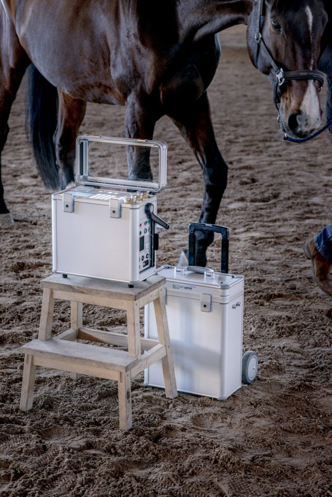 horse stood behind bioresonance device in a stable