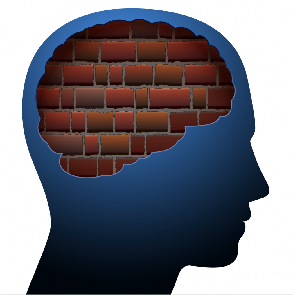 illustration of a head with bricks in the outline of a brain.