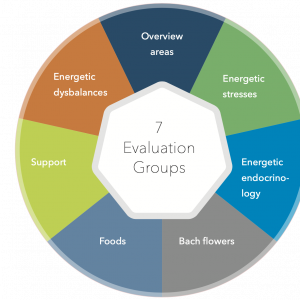 7 evaluation groups