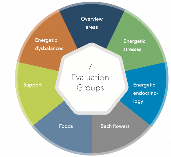 7 evaluation groups