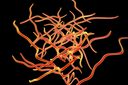 3D illustration of threadworms